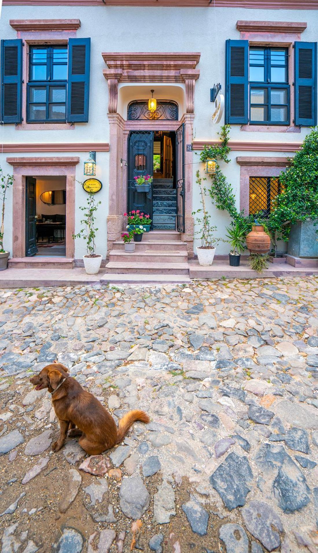 Siyah Lale Cunda 1841 (Adults Only) Hotel Ayvalik Exterior photo